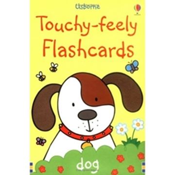 Imagem de TOUCHY-FEELY FLASHCARDS