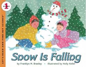Imagem de SNOW IS FALLING - STAGE 1 (LRFOS)