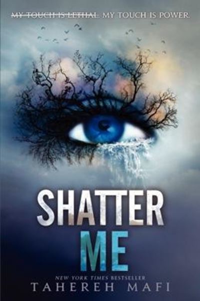 Picture of SHATTER ME