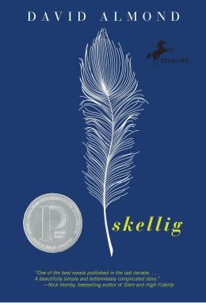 Picture of SKELLIG