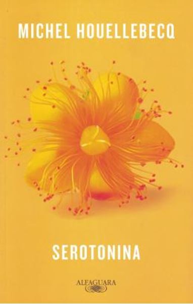 Picture of SEROTONINA