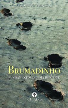 Imagem de BRUMADINHO - FUNDAMENTOS DE UMA HIPOTESE