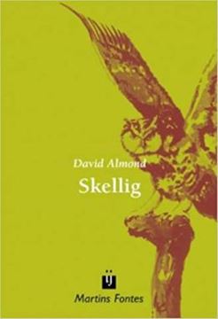 Imagem de SKELLIG