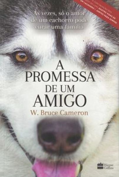 Picture of PROMESSA DE UM AMIGO, A