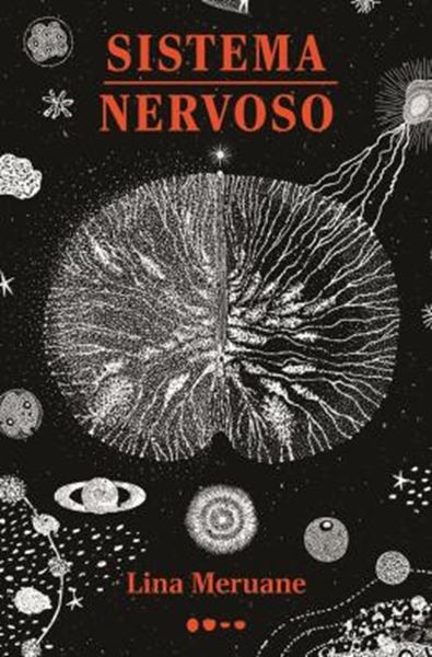 Picture of SISTEMA NERVOSO