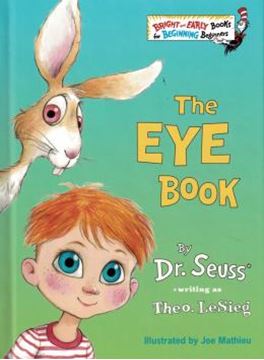 Imagem de THE EYE BOOK