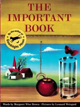 Imagem de THE IMPORTANT BOOK