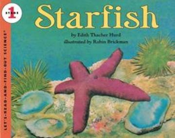 Imagem de STARFISH