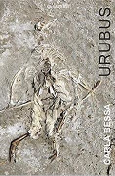 Imagem de URUBUS