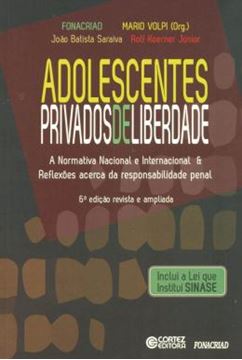 Imagem de ADOLESCENTES PRIVADOS DE LIBERDADE - 6ª ED
