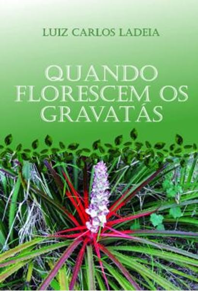 Picture of QUANDO FLORESCEM OS GRAVATAS