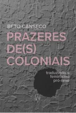 Imagem de PRAZERES DESCOLONIAIS - TRADUZINDO O FEMINISMO PRO-SEXO