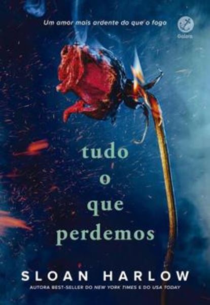 Picture of TUDO O QUE PERDEMOS