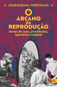 Imagem de O ARCANO DA REPRODUCAO - DONAS DE CASA, PROSTITUTAS, OPERARIOS E CAPITAL
