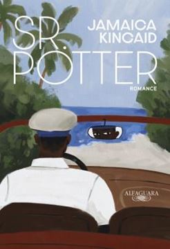 Imagem de SR. POTTER